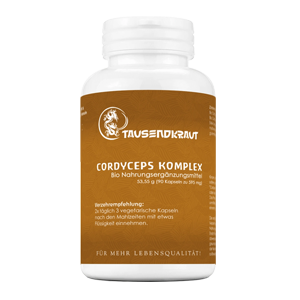 Cordyceps Komplex Kapseln
